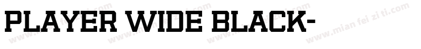 Player Wide Black字体转换